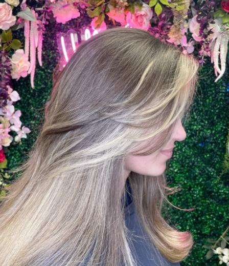 Image gallery marquee